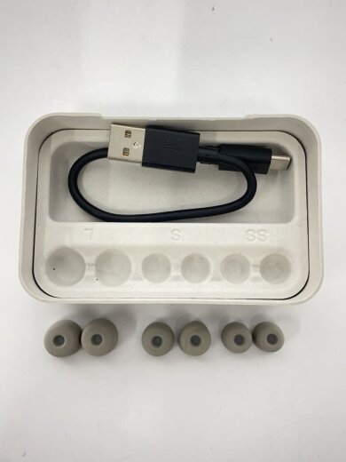 商品画像：イヤホン WF-1000XM5 9