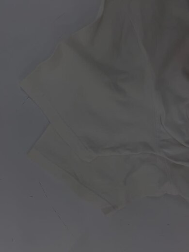 商品画像：Tシャツ/L/コットン/WHT/HOT 5