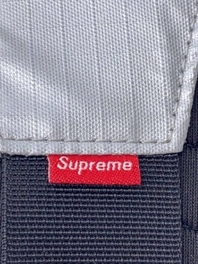 商品画像：METALLIC ROO Ⅱ LUMBAR PACK/ウエストバッグ/ナイロン/SLV 5