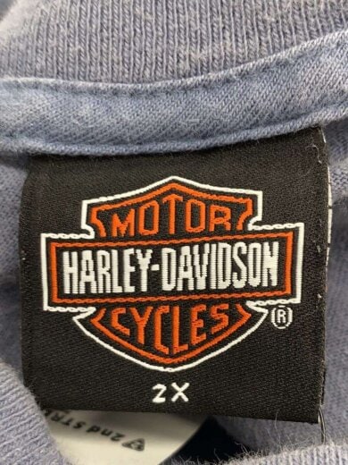 商品画像：Tシャツ/2L/コットン/BLU/プリント/コピーライト2005 3