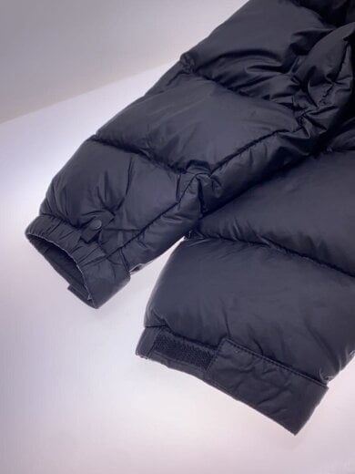 商品画像：1996 Retro Nuptse Jacket/ダウンジャケット/M/ナイロン/BLK/NF0A3C8D 6