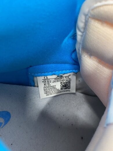 商品画像：AIR JORDAN 1 HIGH OG_エア ジョーダン 1 HIGH OG/25.5cm/BLU 7
