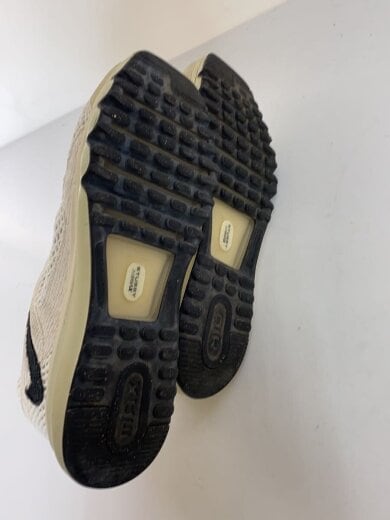 商品画像：AIR MAX 2013/STUSSY_エア マックス 2013/ステューシー/28cm/BEG 4