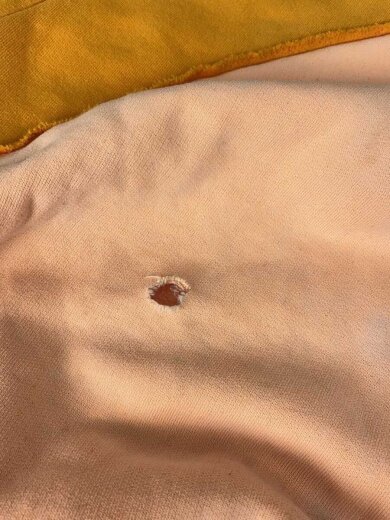 商品画像：パーカー/S/コットン/オレンジ 7