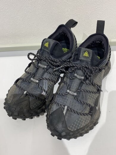商品画像：ACG MOUNTAIN FLY LOW GTX SE_ACG マウンテン フライ LOW GTX SE/27cm/BL 2