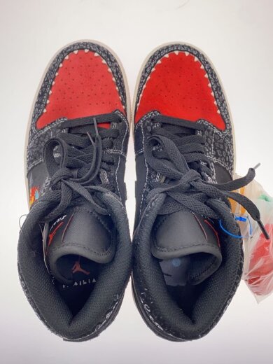 商品画像：ハイカットスニーカー_DN4904-001/25cm/Air Jordan 1 Mid/Siempre Familia 3