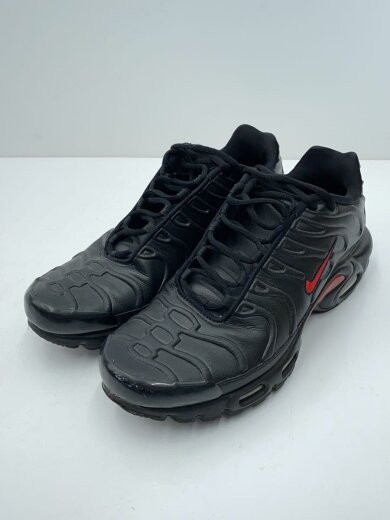 商品画像：AIR MAX PLUS_エアマックス プラス/28cm/BLK 2