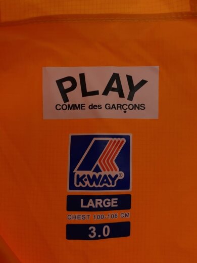 商品画像：アノラックパーカー/L/ナイロン/ORN/無地 3