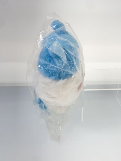 商品画像：ホビーその他/ちいかわ　ほんわかぬい 4