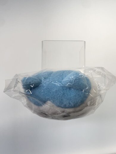 商品画像：ホビーその他/ちいかわ　ほんわかぬい 5