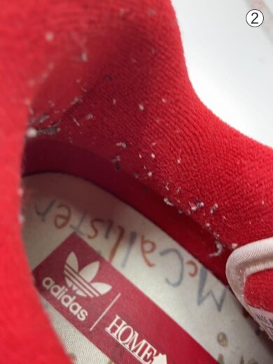 商品画像：FORUM LOW HOME ALONE_フォーラムロー ホームアローン/27cm/RED 8