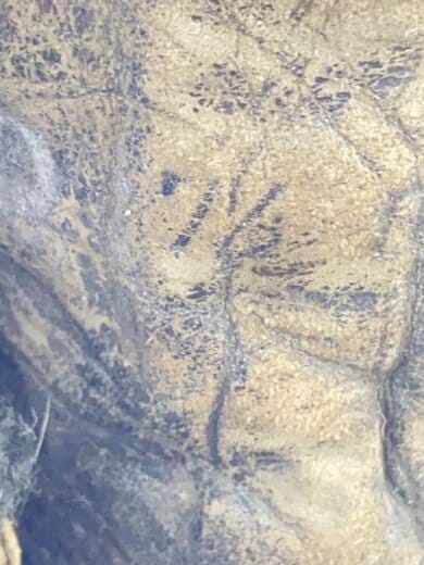 商品画像：ブーツ/UK7.5/BLK 5