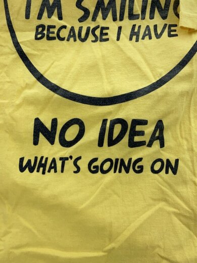 商品画像：chemistry/アメリカ古着/NO IDEA/Tシャツ/L/コットン/YLW/プリント// 7