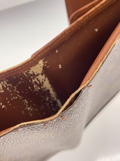 商品画像：ポルト・トレゾール・エテュイ・パピエ_モノグラム・キャンバス/PVC/BRW/レディース 7