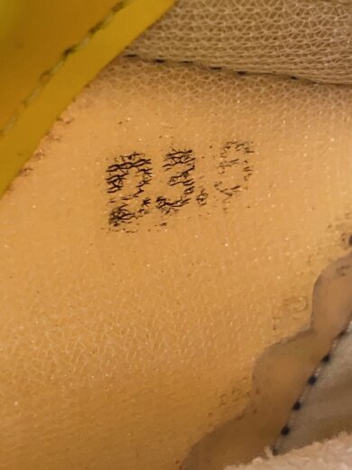 商品画像：ローカットスニーカー/23.5cm/マルチカラー 5