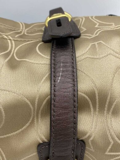 画像：COACHトートバッグ_シグネチャー/キャンバス/BRW/総柄9