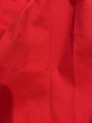 画像：THE NORTH FACEマウンテンパーカ/L/ポリエステル/RED/無地/S15HW03/臭い有6