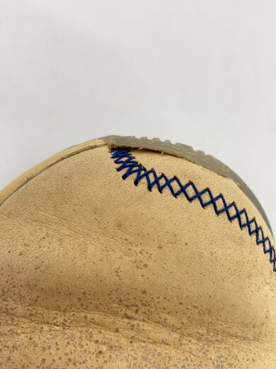 商品画像：LEBRON 20 EP_レブロン 20 EP/28cm/BEG 6