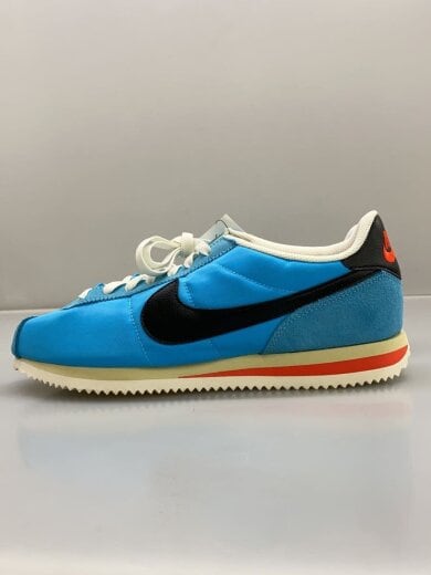 商品画像：AIR MAX PLUS_エア マックス プラス/28cm/BLU// 1