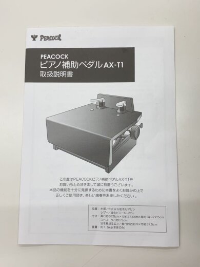 商品画像：AX-T1 鍵盤楽器その他/AX-T1 9