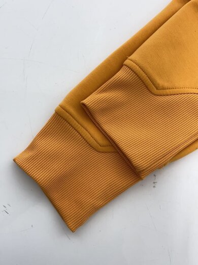 商品画像：パーカー/L/ポリエステル/YLW 5