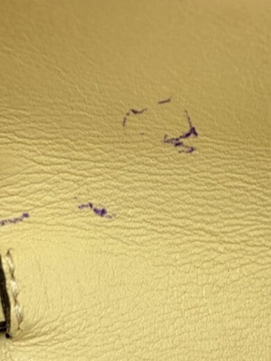 商品画像：長財布/--/WHT/レディース/IW0P0225BOL 8