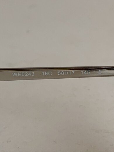 商品画像：Web/サングラス/--/SLV/BLK/メンズ/WE0243 5