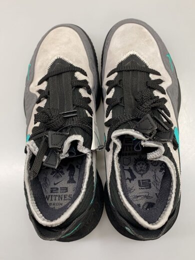 商品画像：LEBRON XVI LOW AC/レブロンロー/グレー/CD9471-003/25.5cm/GRY// 3
