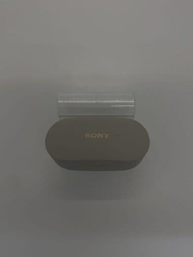 商品画像：イヤホン・ヘッドホン WF-1000XM4 (S) [プラチナシルバー] 5