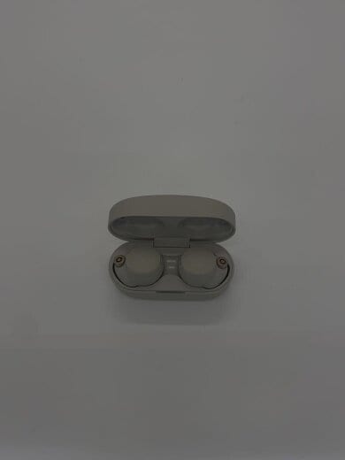 商品画像：イヤホン・ヘッドホン WF-1000XM4 (S) [プラチナシルバー] 6