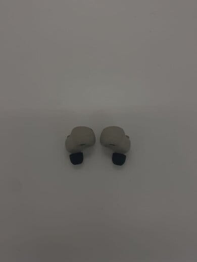 商品画像：イヤホン・ヘッドホン WF-1000XM4 (S) [プラチナシルバー] 7