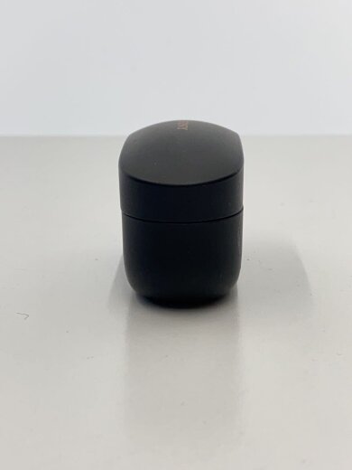 商品画像：イヤホン・ヘッドホン WF-1000XM4 (B) [ブラック] 2