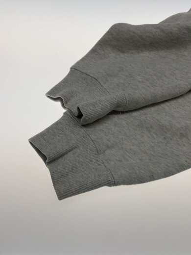 商品画像：REGIONAL PUFF HOODIE/L/コットン/GRY/プリント 5