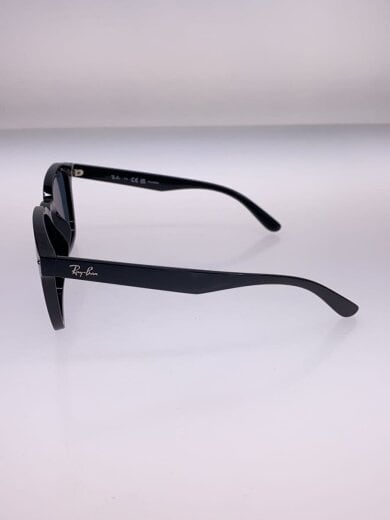 商品画像：サングラス/ウェリントン/プラスチック/BLK/BLK/メンズ/RB4392D 3