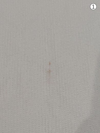 商品画像：長袖Tシャツ/--/コットン/WHT/broots23f17 6