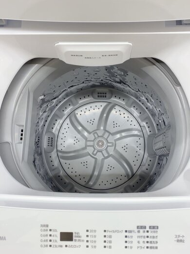 商品画像：洗濯機 IAW-T604E 6