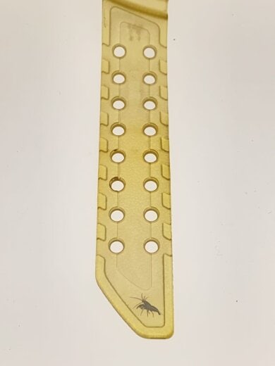 商品画像：クォーツ腕時計・G-SHOCK/デジタル/GLD/GLD 5