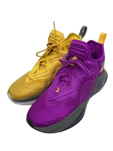 商品画像：LEBRON SOLDIER 14 EP_レブロン ソルジャー 14 EP/27cm/PUP 2