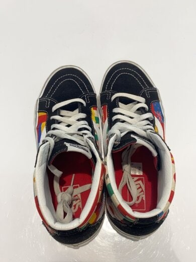 商品画像：SK8-HI REISSUE(FLAGS)/27cm/マルチカラー/VN0A2XSBRX0 3