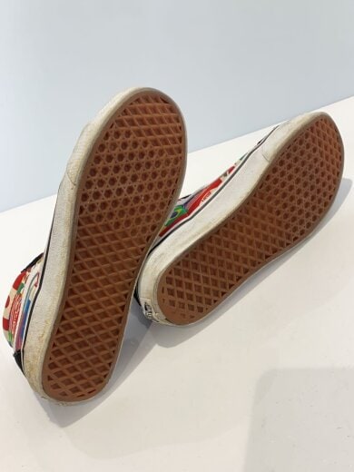 商品画像：SK8-HI REISSUE(FLAGS)/27cm/マルチカラー/VN0A2XSBRX0 4