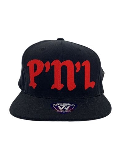 商品画像：PNL/ロゴ/キャップ/--/アクリル/BLK/無地/メンズ 1