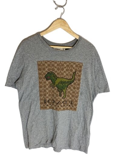 商品画像：Tシャツ/M/コットン/GRY/43064 1