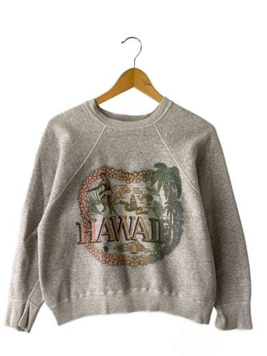 商品画像：50s頃/ラグラン/HAWAIIプリントスウェット/コットン/グレー/ヴィンテージ/// 1