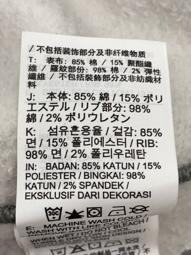 商品画像：スウェット/L/コットン/GRY/DO9337-063 4