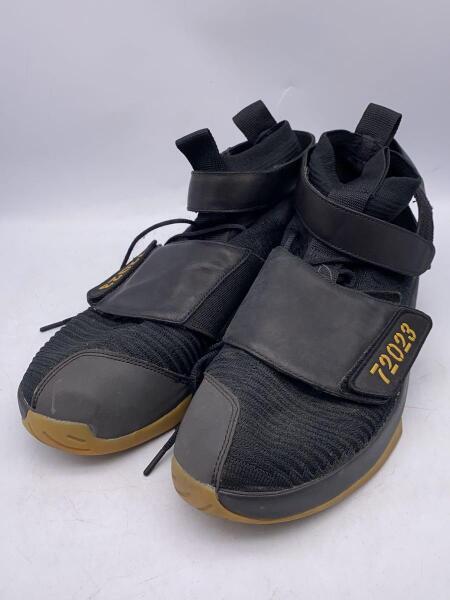 NIKE(ナイキ) / エアジョーダン20 フライニット R&B/28.5cm/ブラック 
