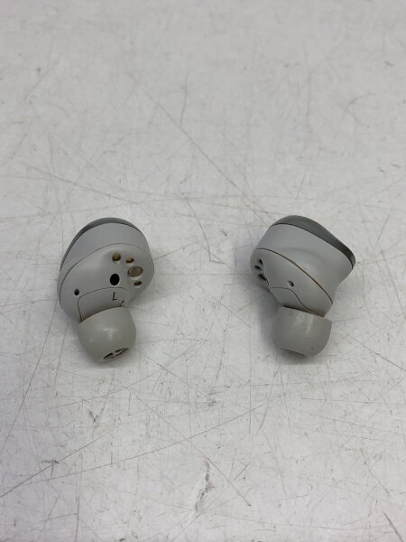 Technics(テクニクス) / イヤホン/EAH-AZ80// | 中古品の販売・通販