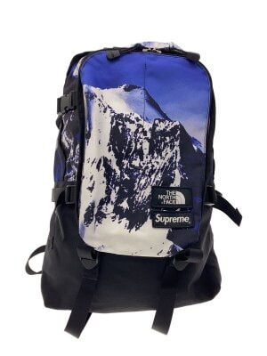 THE NORTH FACE(ザノースフェイス) / リュック/ナイロン/BLU/無地