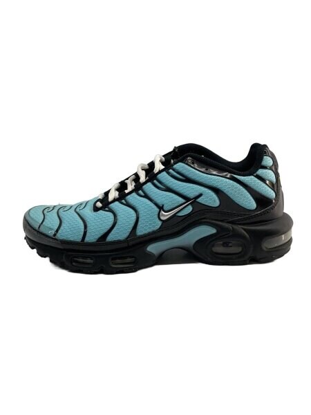 NIKE(ナイキ) / AIR MAX PLUS_エア マックス プラス/25.5cm/BLU | 中古 