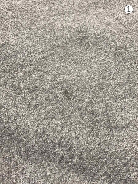 STONE ISLAND(ストーンアイランド) / スウェット/XL/コットン/グレー 