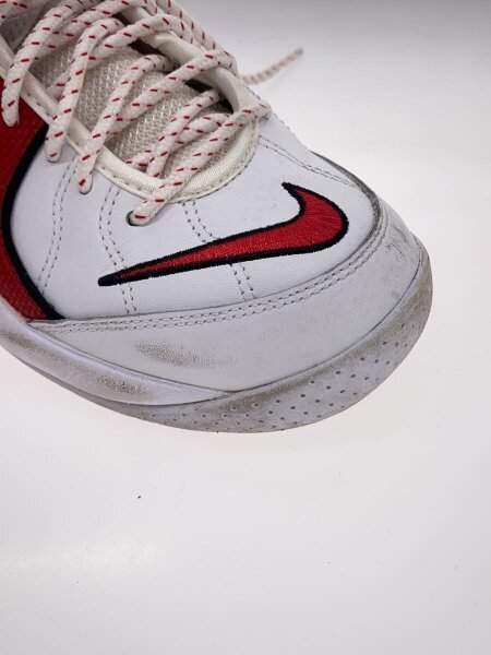 NIKE(ナイキ) / AIR ZOOM FLIGHT 95_エア ズームフライト 95/27cm/WHT 